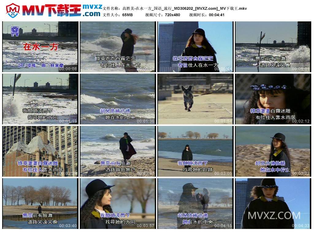 高胜美-在水一方_国语_流行_MD306202